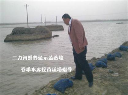 優(yōu)質(zhì)蟹苗產(chǎn)自純生態(tài)水域