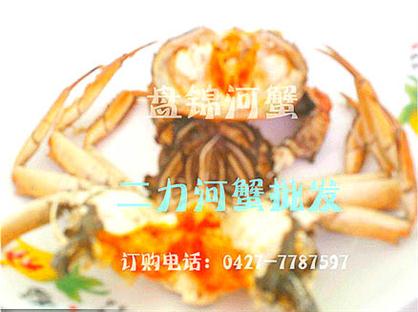 盤錦河蟹