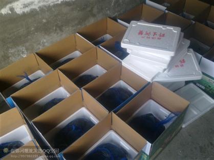 盤錦河蟹包裝現(xiàn)場(chǎng)