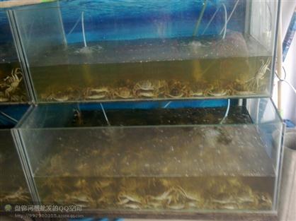 盤錦河蟹室內暫養(yǎng)玻璃鋼